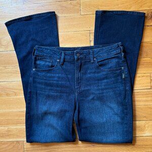 Silver Jeans Avery High Rise Bootcut Luxe Stretch Jeans, Women’s W33/L33 (12/14)